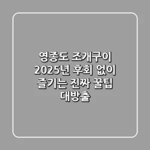 영종도 조개구이, 2025년 후회 없이 즐기는 진짜 꿀팁 대방출!