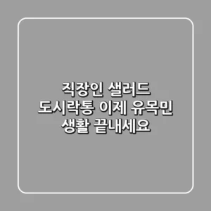 직장인 샐러드 도시락통, 이제 유목민 생활 끝내세요!